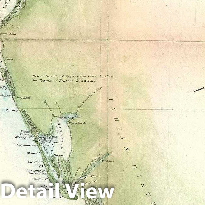 Historic Map : U.S. Coast Survey Chart or Map of Florida, Version 2, 1851, Vintage Wall Art