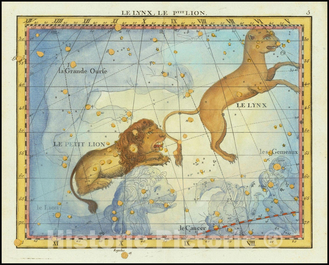 Historic Map : Le Lynx, Le Ptit. Lion, Lynx, Leo Minor, 1776, Vintage Wall Art