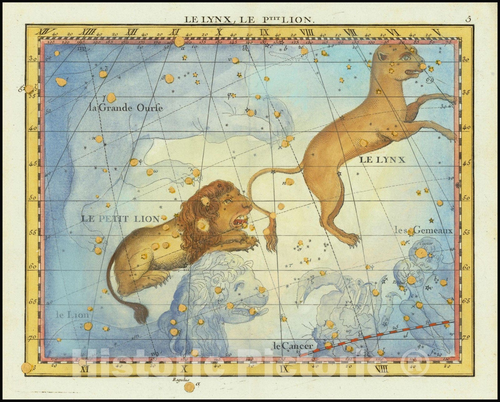 Historic Map : Le Lynx, Le Ptit. Lion, Lynx, Leo Minor, 1776, Vintage Wall Art