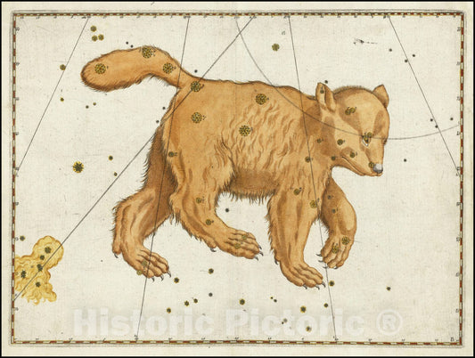 Historic Map : Ursa Major , 1624, Vintage Wall Art