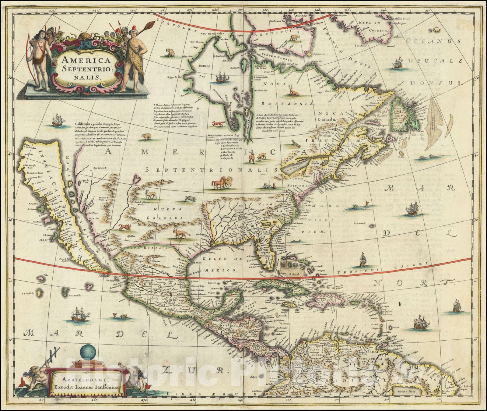Historic Map : America Septentrionalis, 1641, Vintage Wall Art
