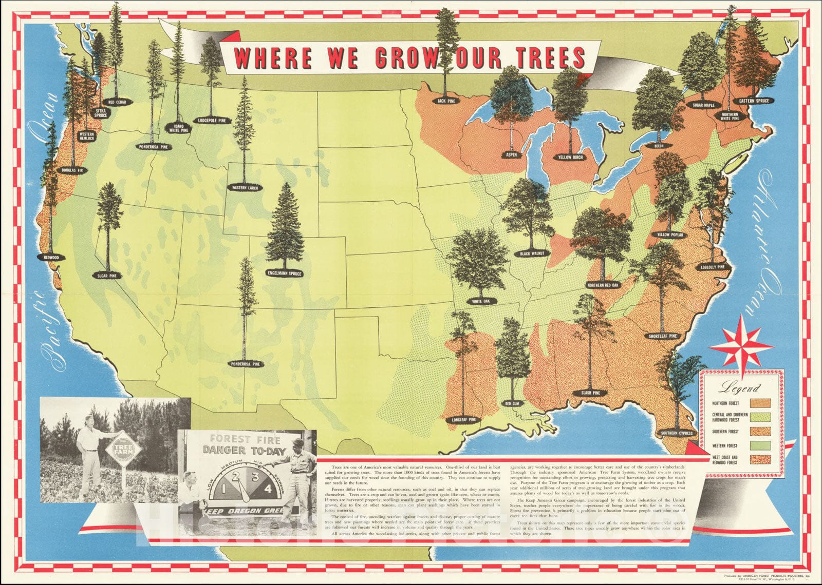 Historic Map : Where We Grow Our Trees, 1953, Vintage Wall Art
