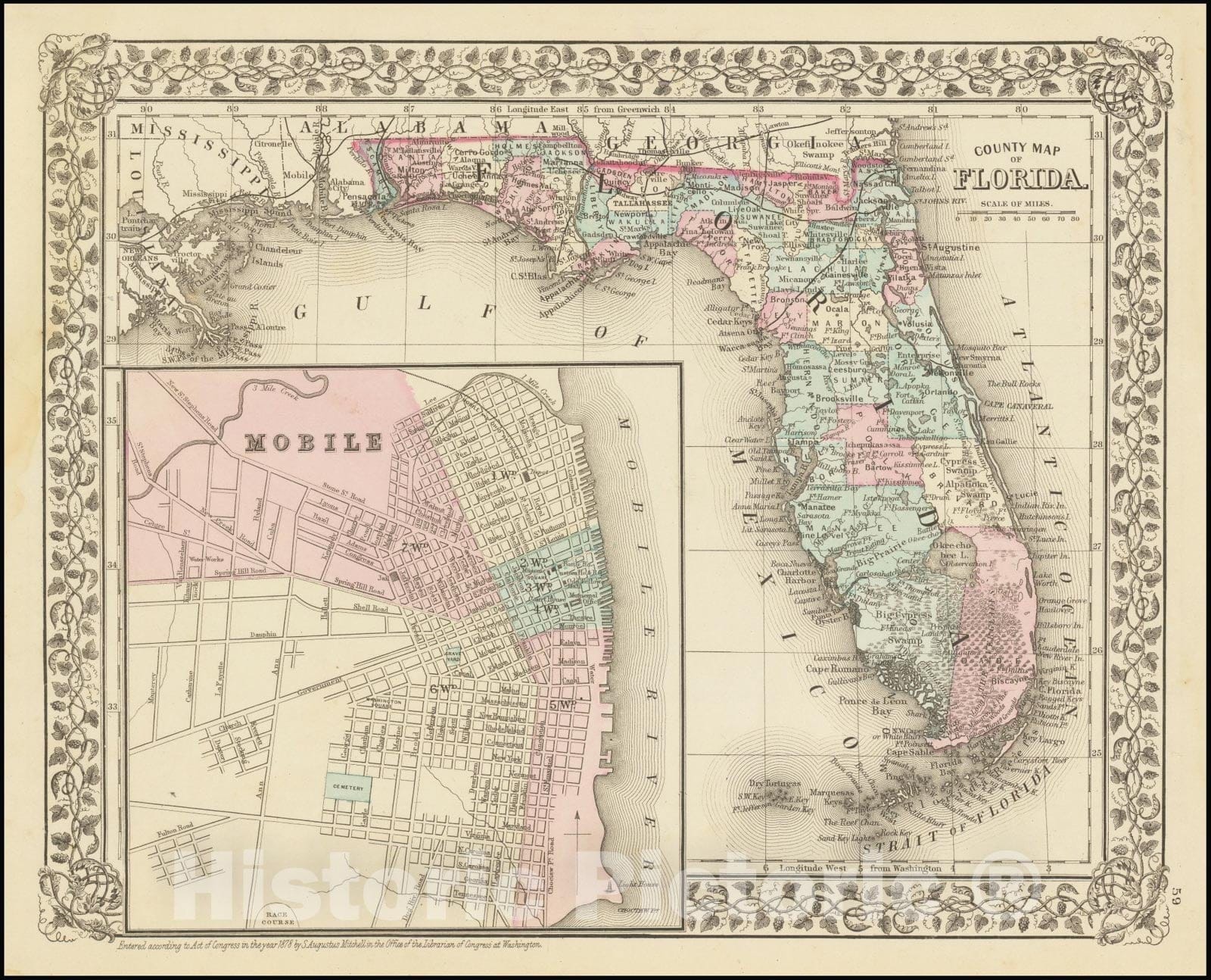 Historic Map : County Florida, 1878, Vintage Wall Art
