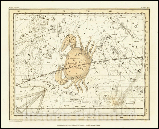 Historic Map : Cancer, 1822 v2, Vintage Wall Art