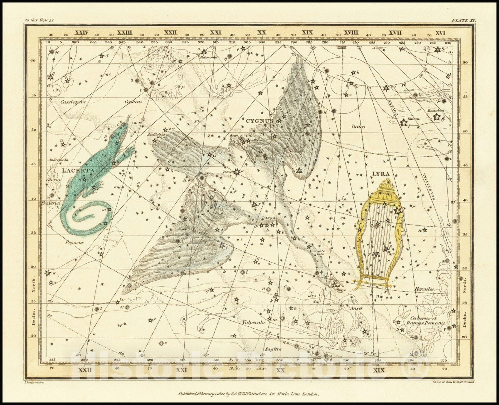 Historic Map : Cygnus, Lacerta, and Lyra, 1822 v2, Vintage Wall Art