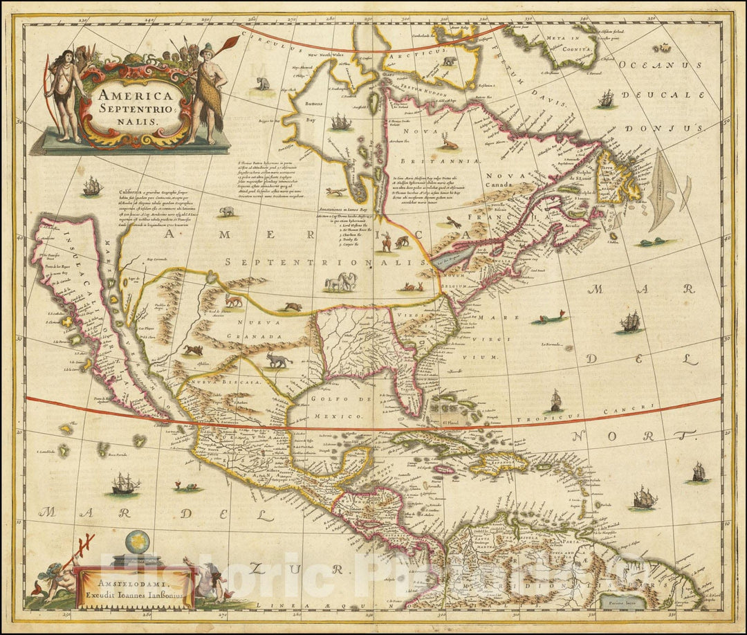 Historic Map : America Septentrionalis, 1636, Vintage Wall Art