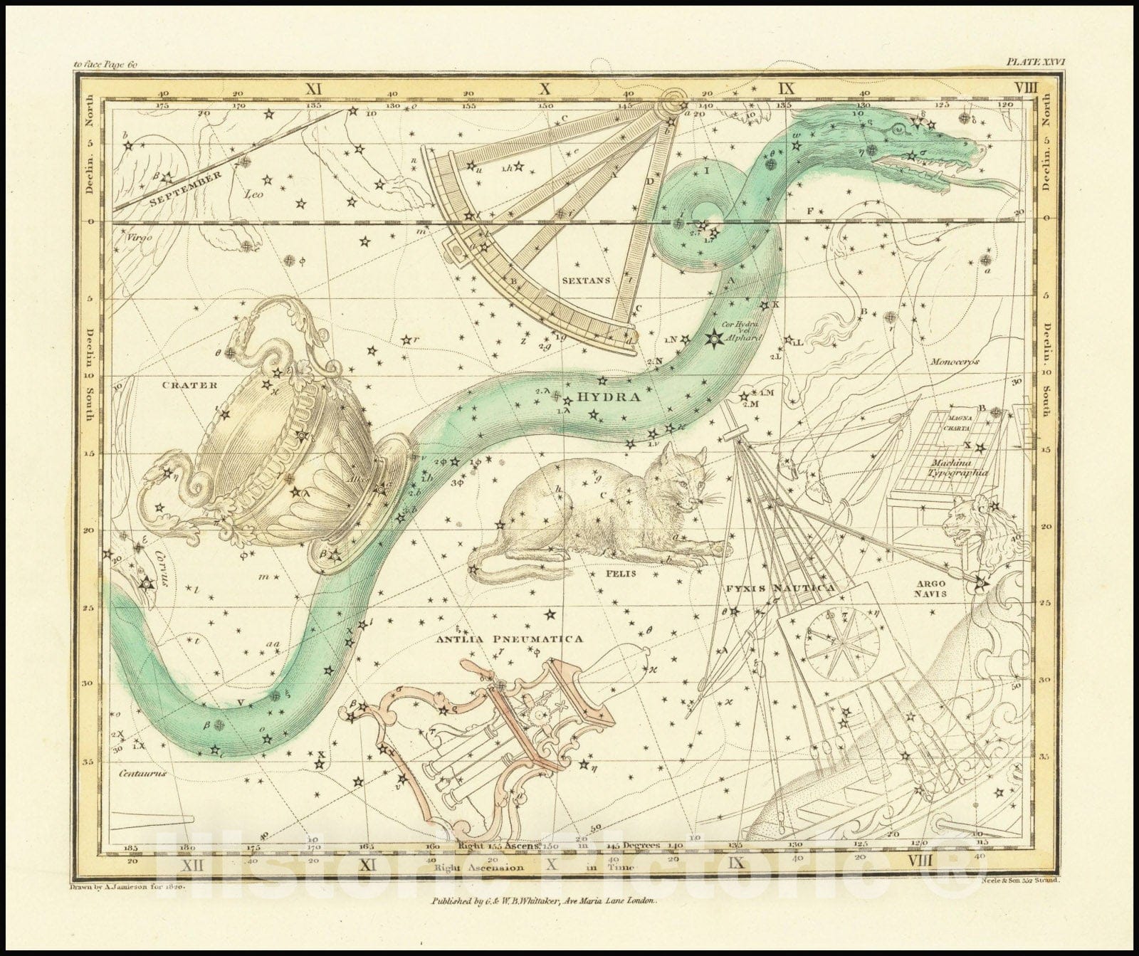 Historic Map : Hydra Sextans Felis and Crater, 1822, Vintage Wall Art