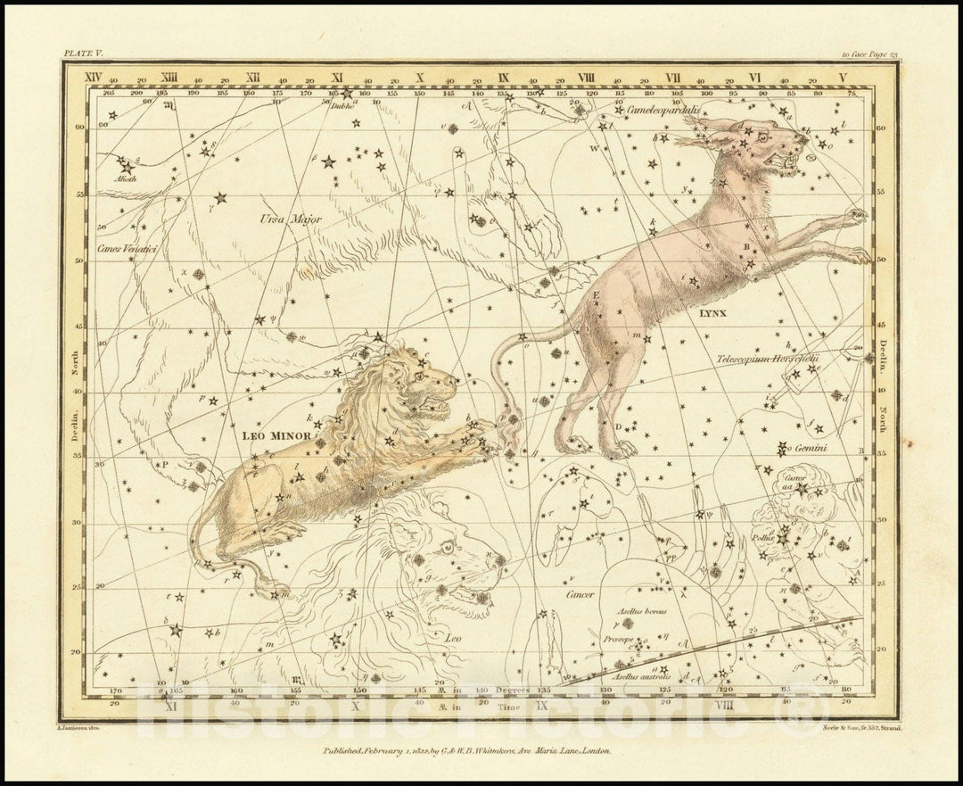 Historic Map : Lynx & Leo Minor, 1822 v1, Vintage Wall Art