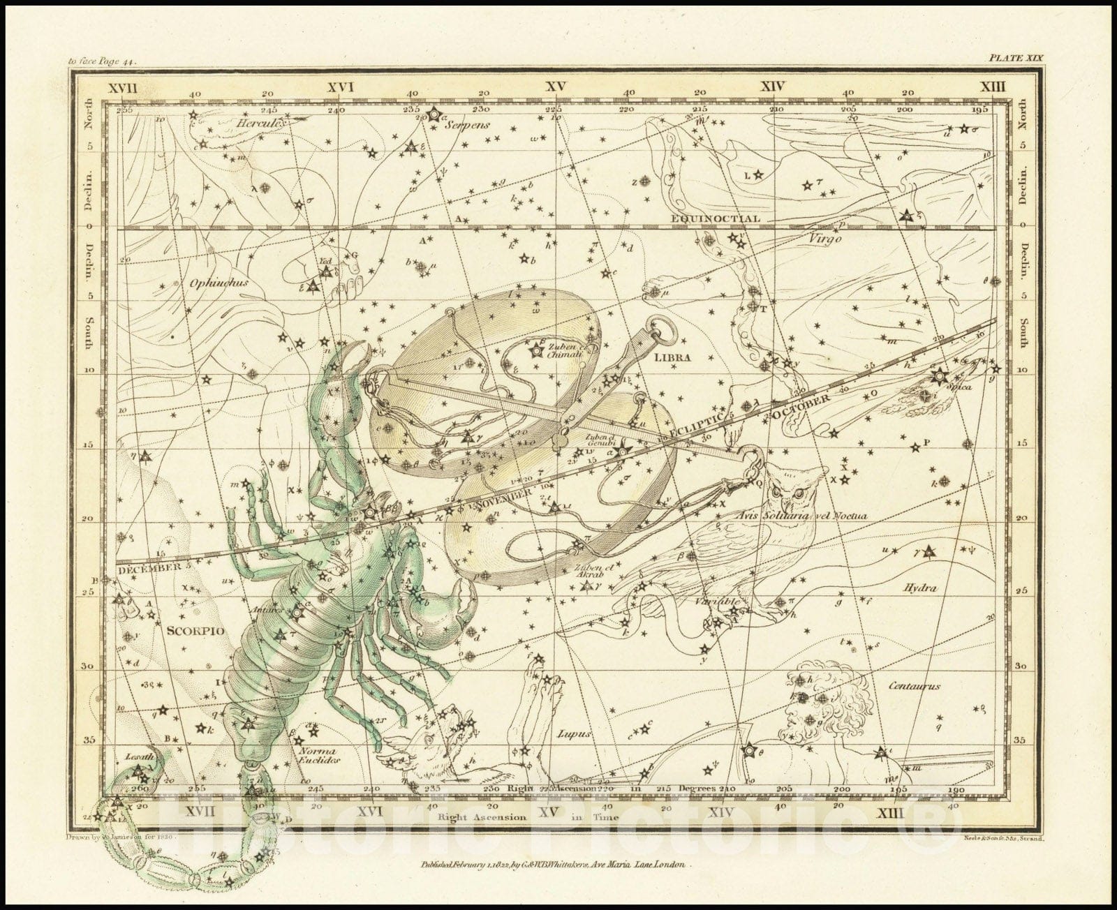 Historic Map : Scorpio and Libra, 1822 v2, Vintage Wall Art