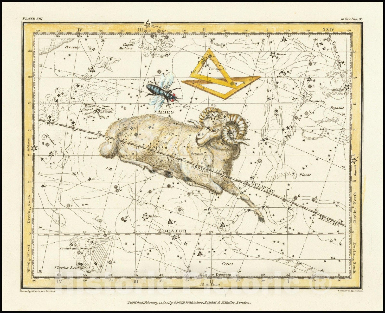 Historic Map : Aries, Triangula, and Musca, 1822, Vintage Wall Art