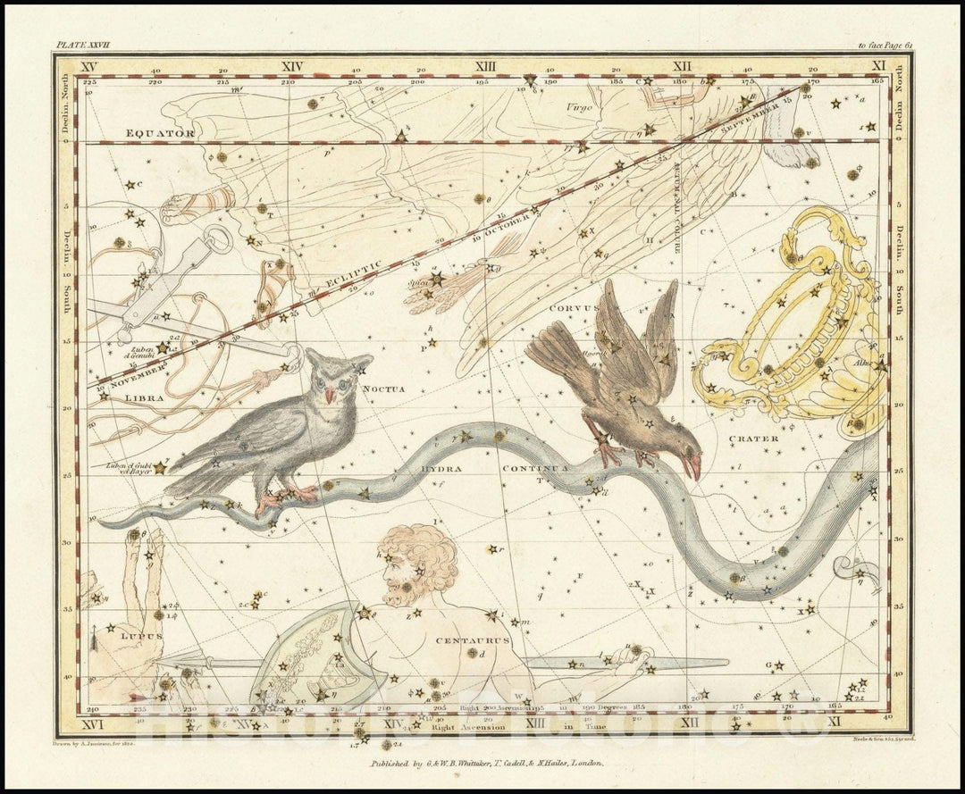 Historic Map : Hydra Continua, Crater, Corvus, Centaurus et Lupus , The Owl, 1822, Vintage Wall Art