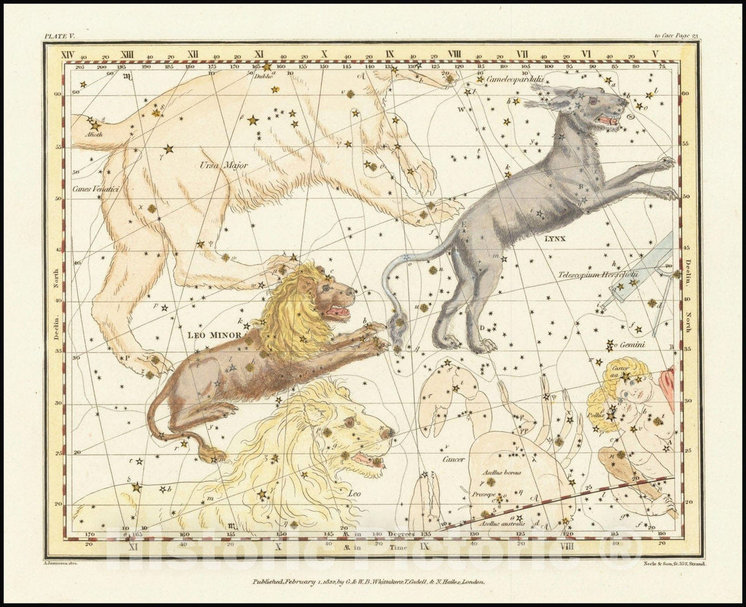 Historic Map : Lynx & Leo Minor, 1822 v2, Vintage Wall Art