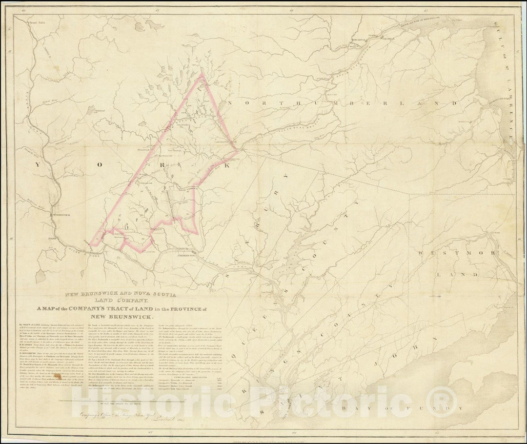 Historic Map : New Brunswick and Nova Scotia Land Company.A Company's Tract of Land in the Province of New Brunswick, 1834, Vintage Wall Art