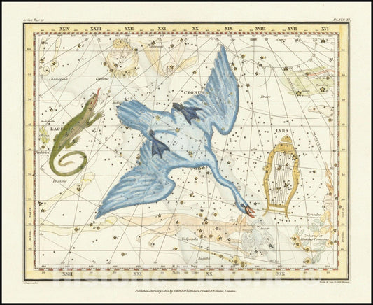 Historic Map : Cygnus, Lacerta, and Lyra, 1822 v1, Vintage Wall Art