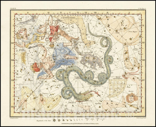 Historic Map : Ursa Minor - Little Bear also showing Cassiopeia, Draco & Cepheus, 1822 v1, Vintage Wall Art