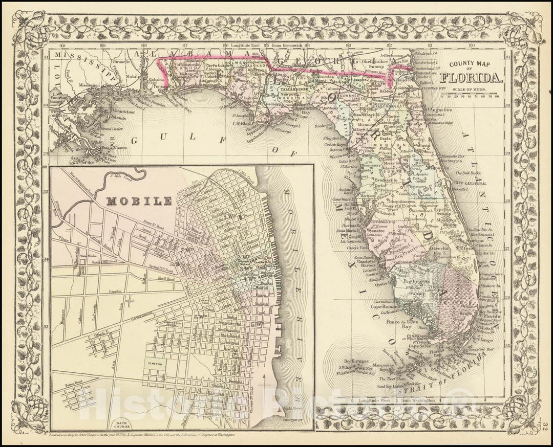 Historic Map : County Florida, 1872, Vintage Wall Art