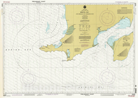 Historic Nautical Map - Cape Newenham And Hagemeister Strait, AK, 1993 NOAA Chart - Vintage Wall Art