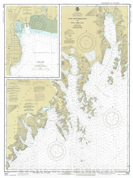 Historic Nautical Map - Cape Resurrection To Two Arm Bay, AK, 1982 NOAA Chart - Vintage Wall Art