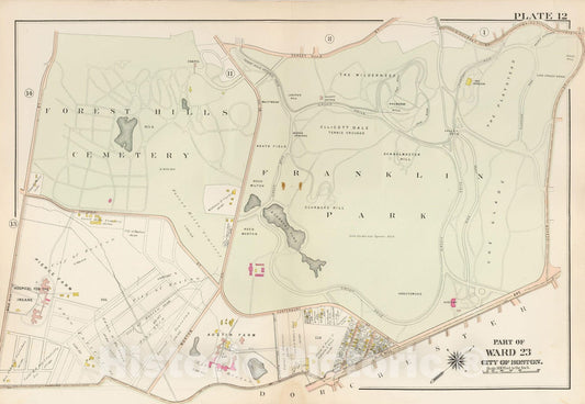 Historic Map : West Roxbury, & Roslindale, 1905 Plate 012 , Vintage Wall Art