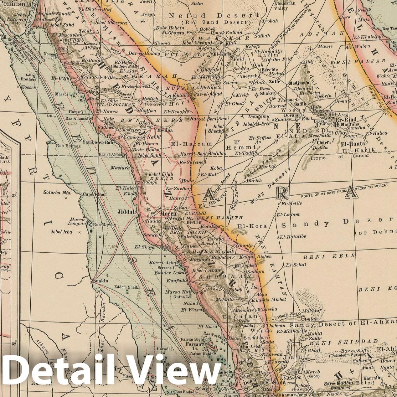 Historic Map : Arabia & Palestine & Oman & Saudi Arabia 1897 , The Century Atlas World , Vintage Wall Art
