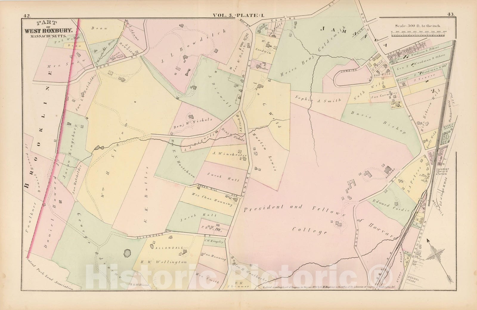 Historic Map : Atlas of County of Suffolk, MA, Vol. 5th, West Roxbury 1874 Plate L , v2, Vintage Wall Art