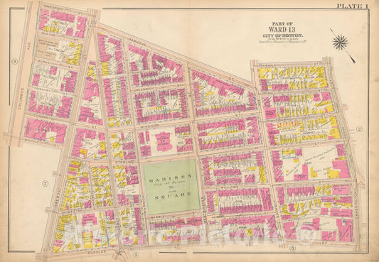 Historic Map : Atlas City of Boston, Roxbury, Roxbury 1915 Plate 001 , Vintage Wall Art
