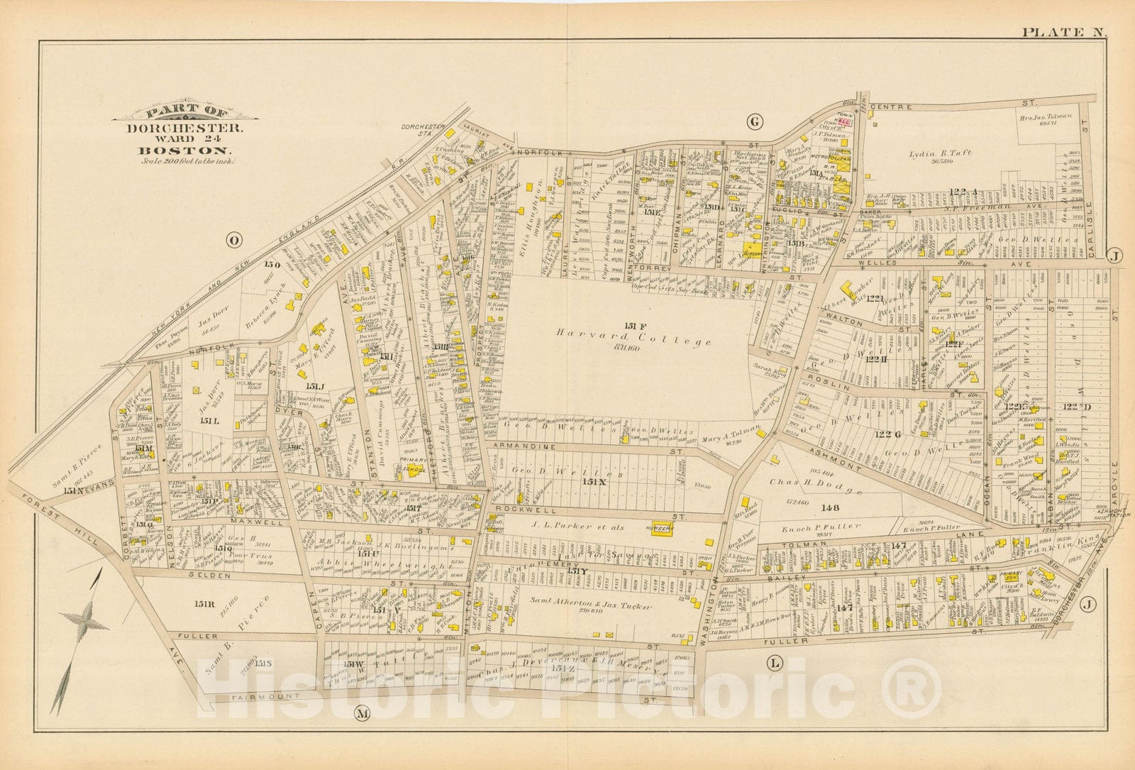 Historic Map : Atlas of Dorchester, Dorchester 1884 Plate N , Vintage Wall Art