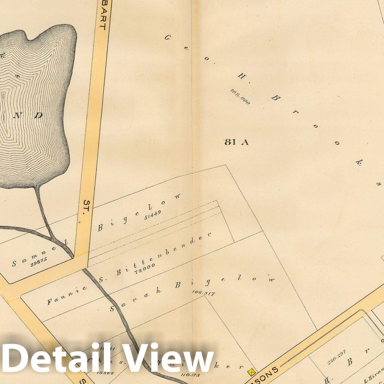 Historic Map : Atlas City of Boston, Volume 7, Brighton Mass., Brighton 1890 Plate 011 , Vintage Wall Art
