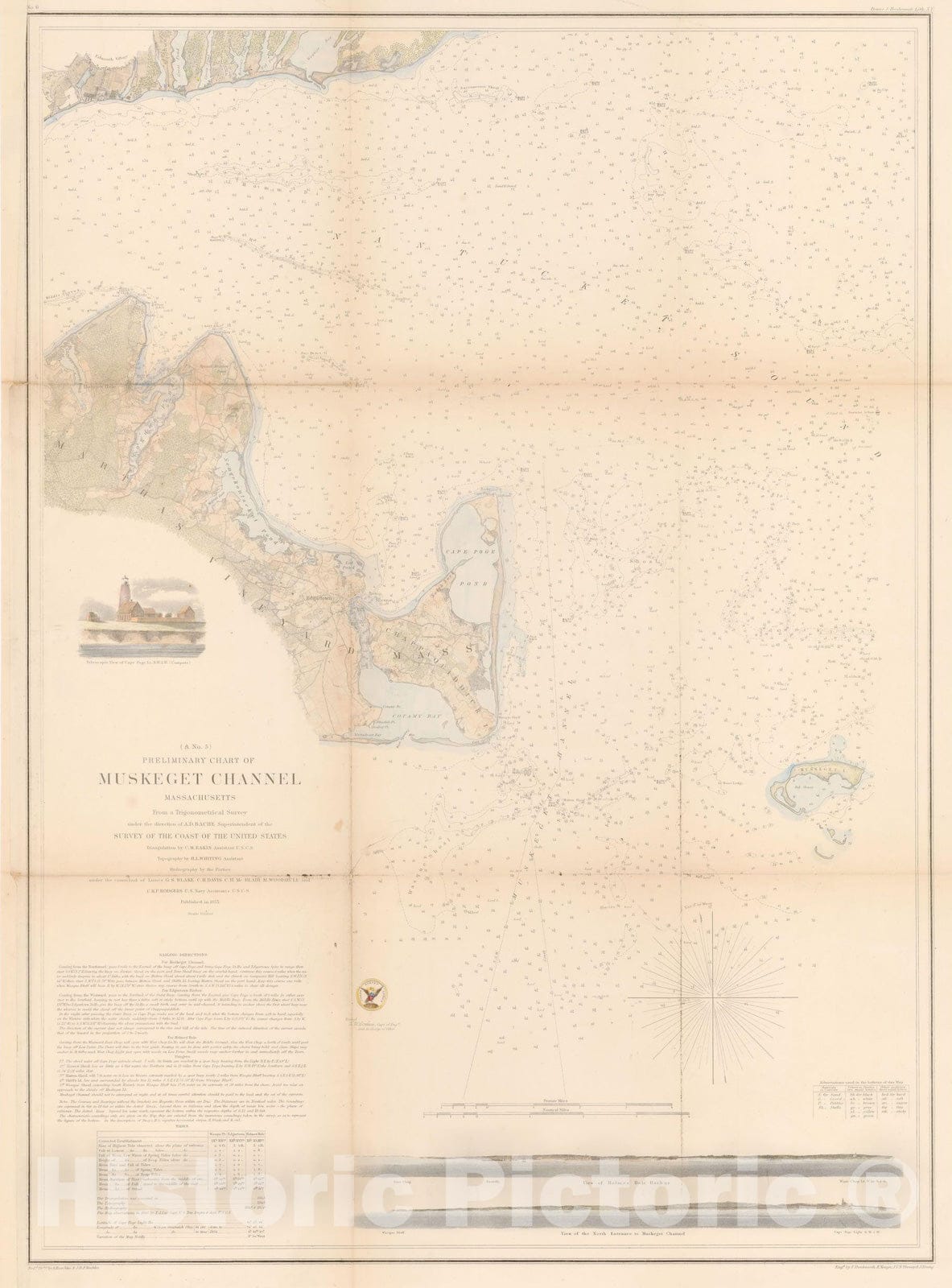 Historic Map : Falmouth & Martha's Vineyard 1855 Topographic Map , Vintage Wall Art