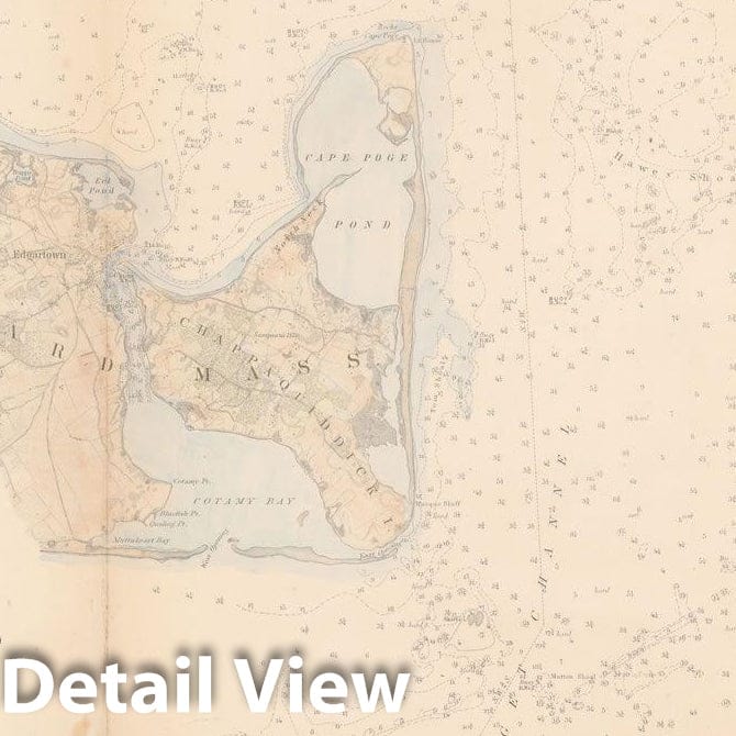 Historic Map : Falmouth & Martha's Vineyard 1855 Topographic Map , Vintage Wall Art