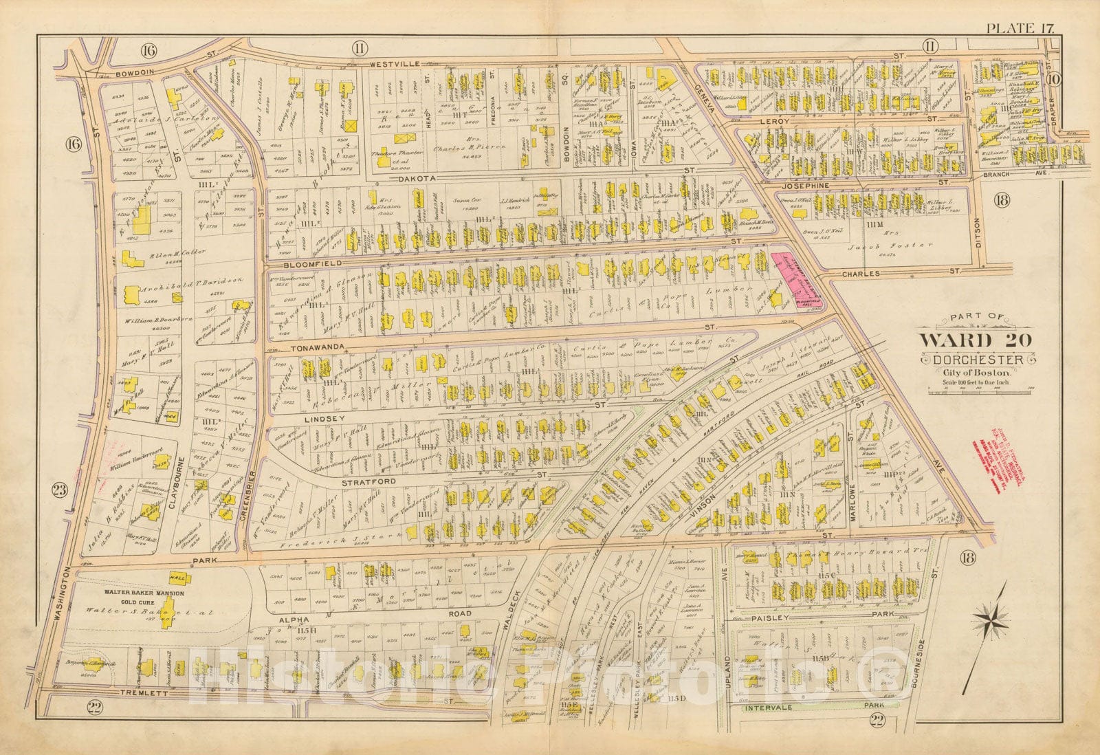 Historic Map : Atlas City of Boston, Vol. 5, Dorchester, Dorchester 1898 Plate 017 , Vintage Wall Art