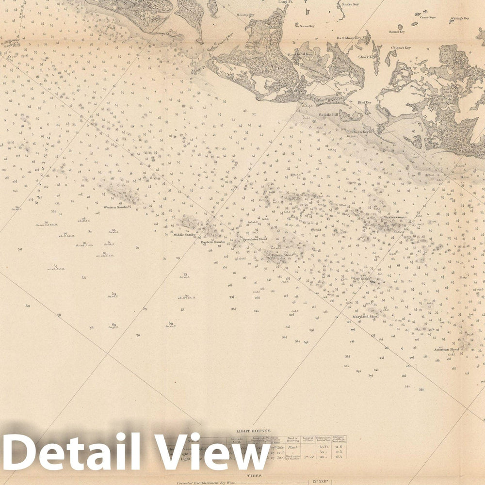 Historic Map : Florida 1892 , Vintage Wall Art