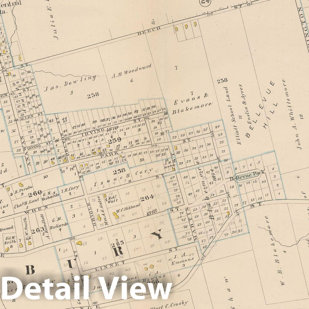 Historic Map : City Atlas of Boston, Massachusetts, West Roxbury 1882 Plate 025 , Vintage Wall Art