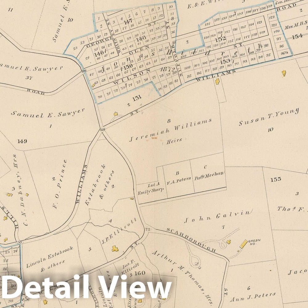 Historic Map : City Atlas of Boston, Massachusetts, West Roxbury 1882 Plate 021 , Vintage Wall Art
