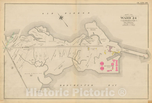 Historic Map : Atlas City of Boston, Vol. 5, Dorchester, Dorchester 1894 Plate 039 , Vintage Wall Art