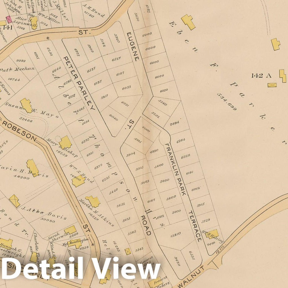 Historic Map : Suffolk County, Jamaica Plain & Roxbury 1890 Plate 001 , Vintage Wall Art