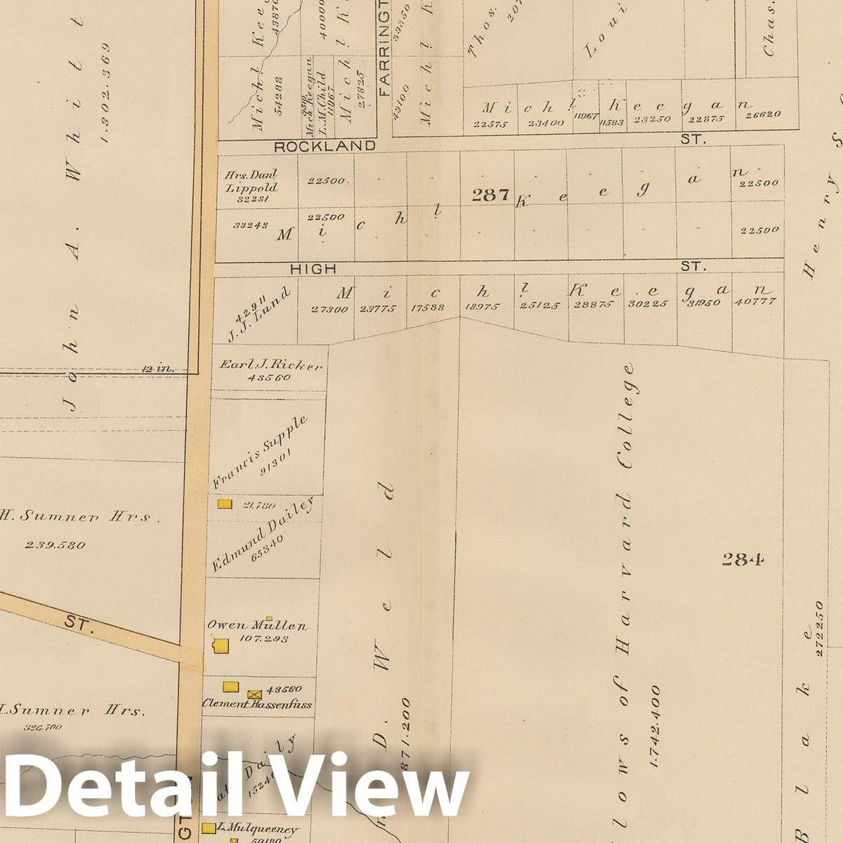 Historic Map : Atlas City of Boston, West Roxbury 1890 Plate 026 , Vintage Wall Art