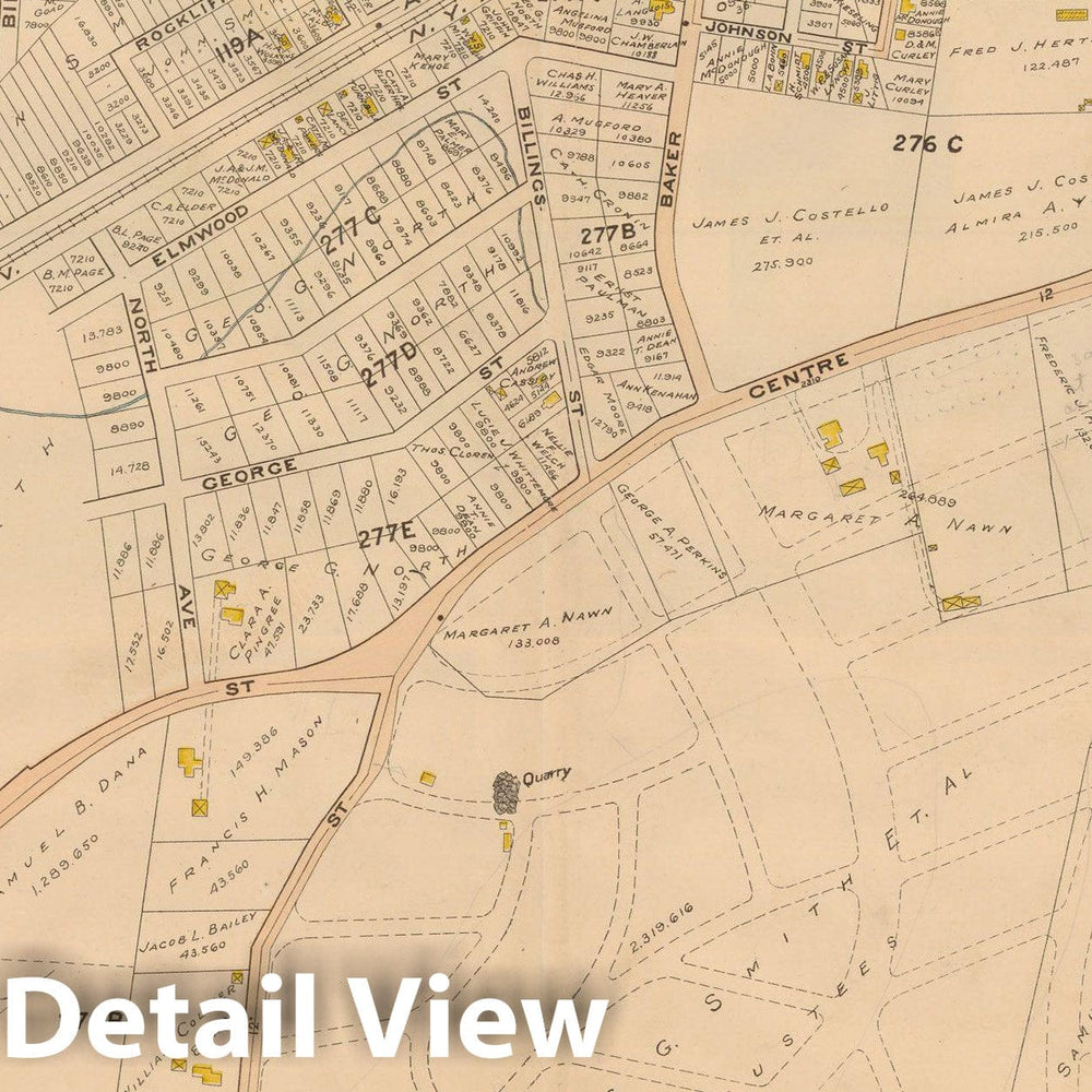Historic Map : Atlas of Dorchester, West Roxbury and Brighton, West Roxbury 1899 Plate 031 , Vintage Wall Art