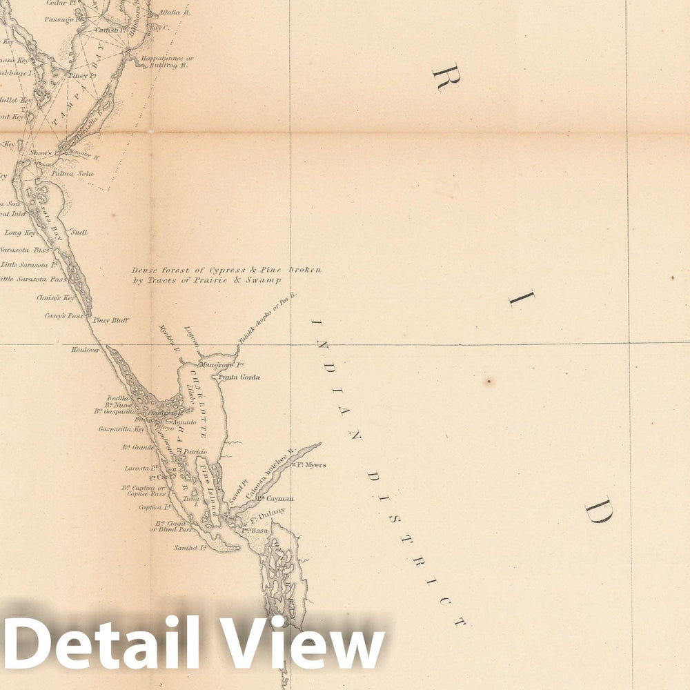 Historic Map : Florida 1855 , Vintage Wall Art