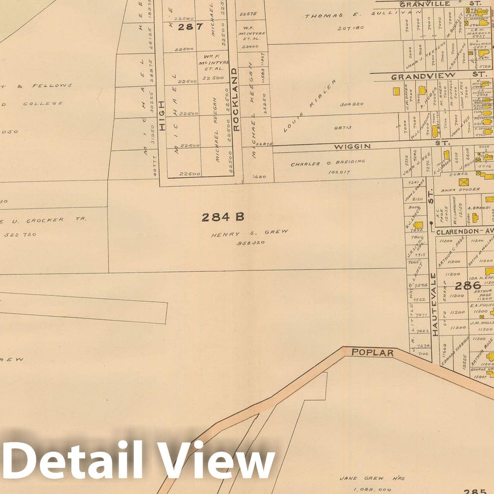 Historic Map : Atlas of Dorchester, West Roxbury and Brighton, Roslindale 1899 Plate 025 , Vintage Wall Art