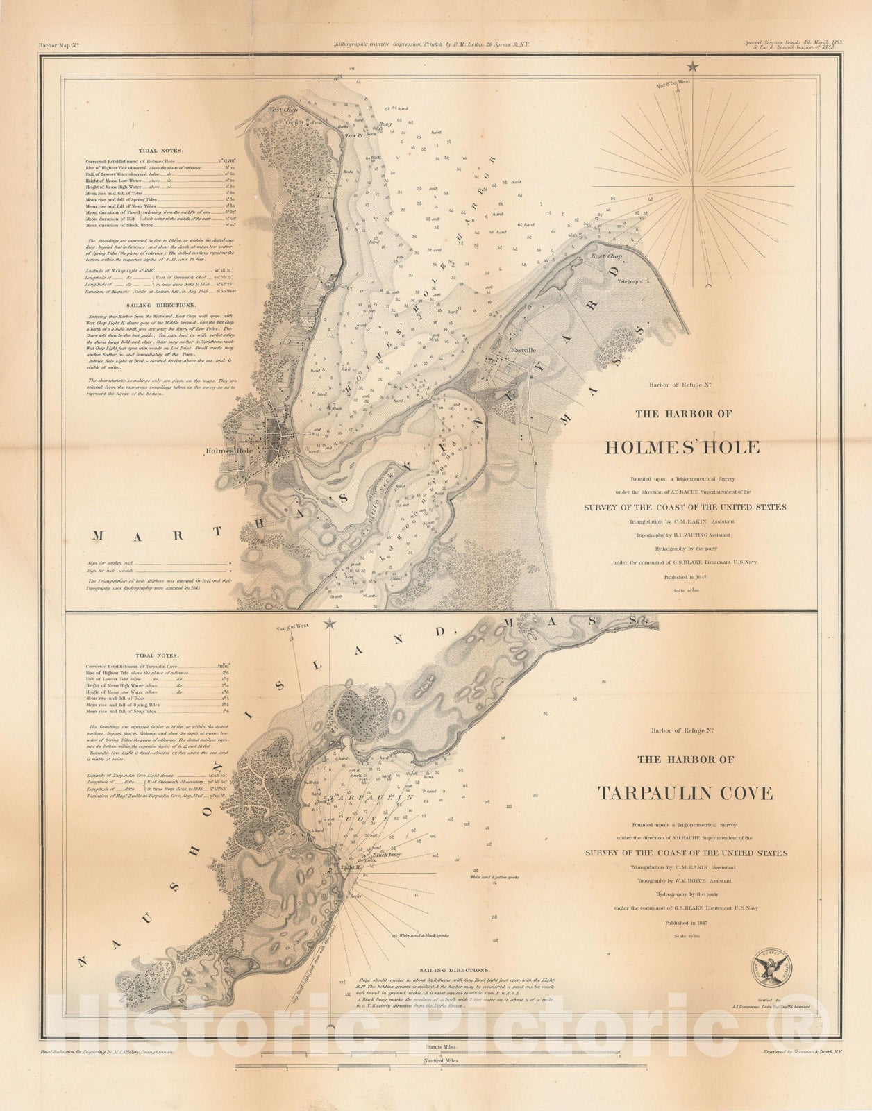 Historic Map : Martha's Vineyard 1847 Topographic Map , Vintage Wall Art