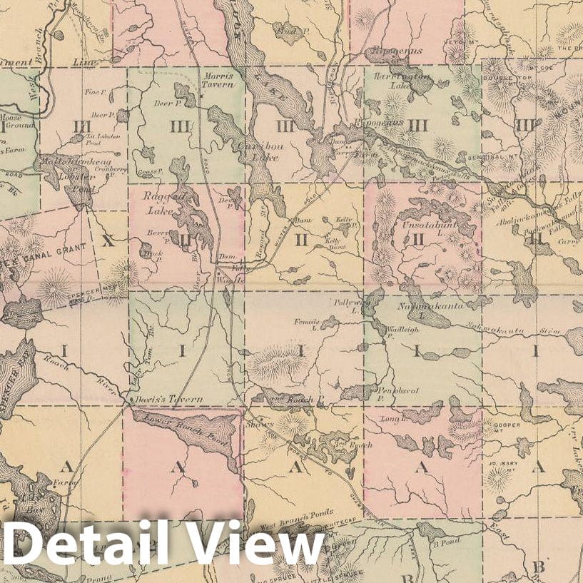 Historic Map : Atlas of Maine, Piscataquis 1885 , Vintage Wall Art
