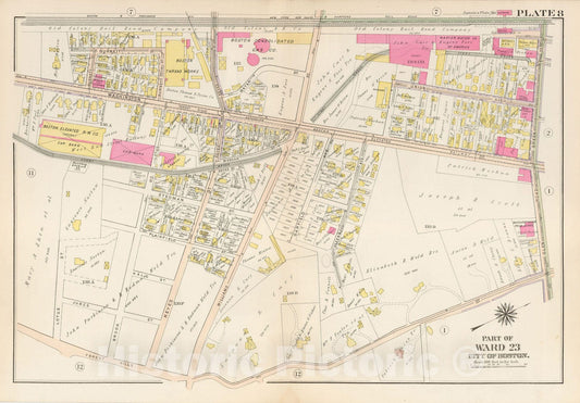 Historic Map : West Roxbury, & Roslindale, 1905 Plate 008 , Vintage Wall Art