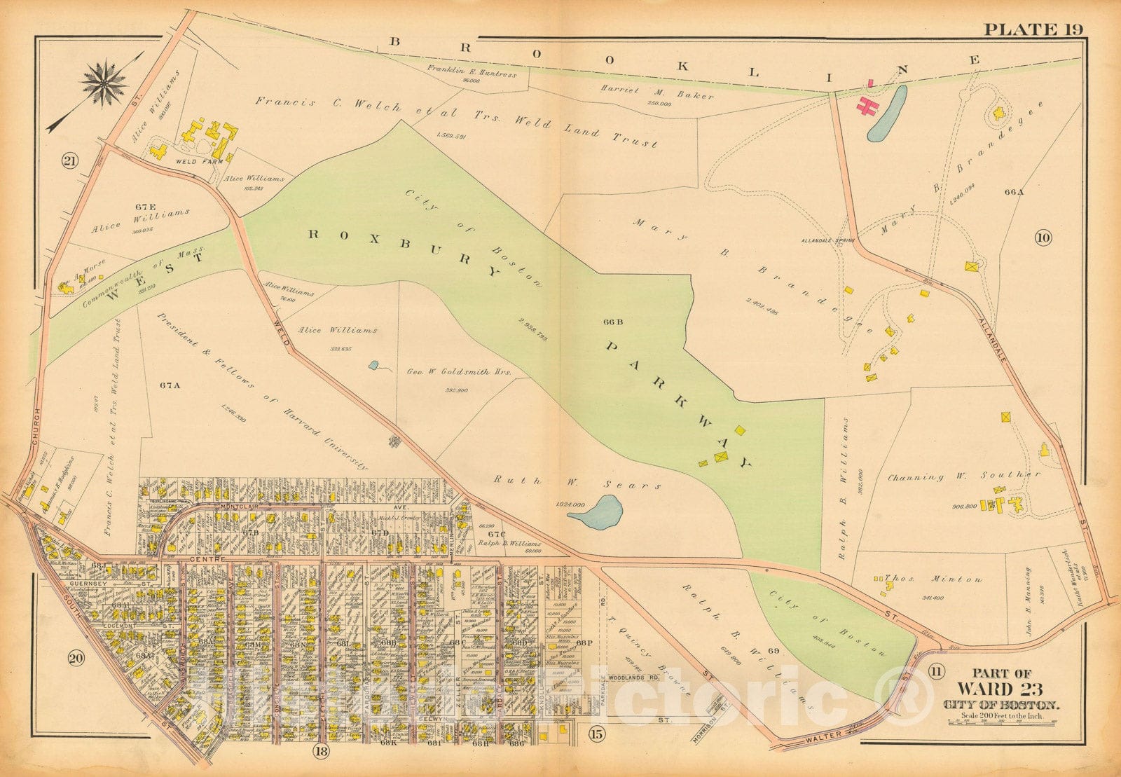 Historic Map : Atlas City of Boston, West Roxbury, Roslindale 1914 Plate 019 , Vintage Wall Art