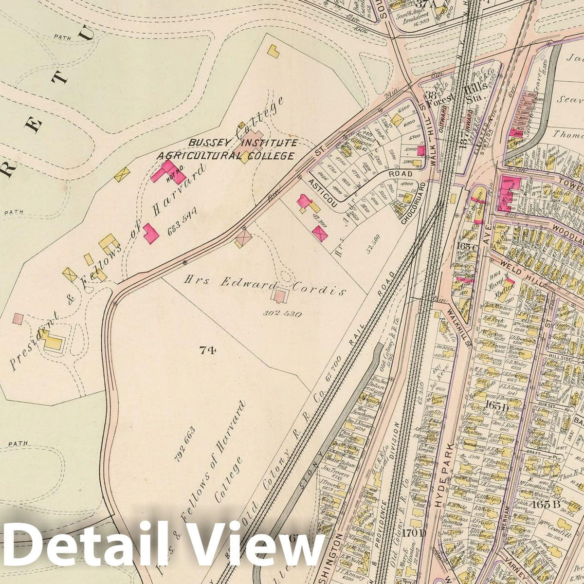 Historic Map : West Roxbury, & Roslindale, 1905 Plate 011 , Vintage Wall Art