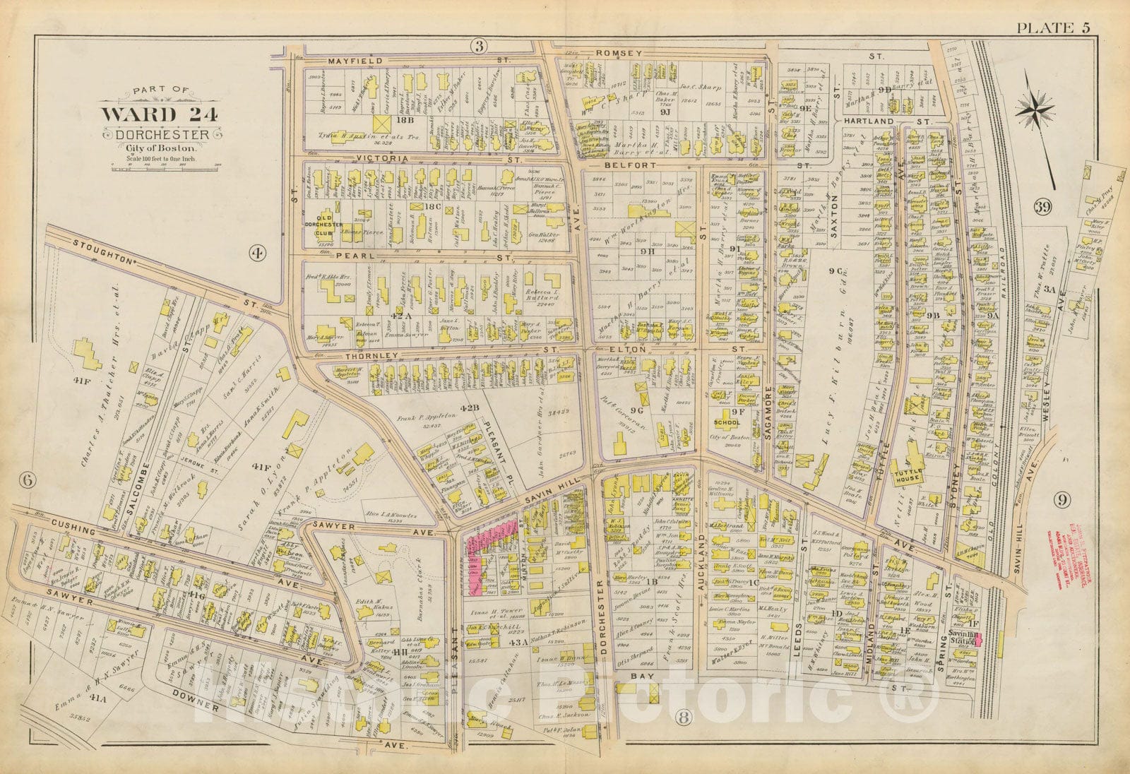 Historic Map : Atlas City of Boston, Vol. 5, Dorchester, Dorchester 1894 Plate 005 , Vintage Wall Art