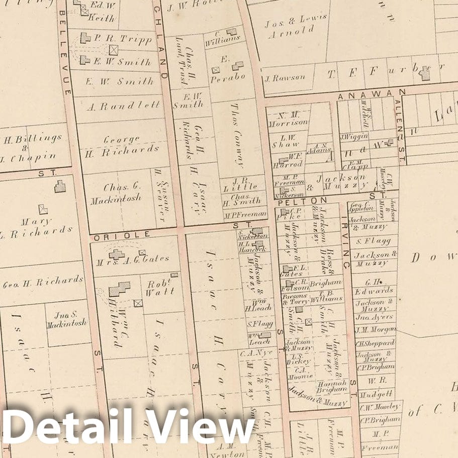 Historic Map : Atlas of County of Suffolk, MA, Vol. 5th, West Roxbury 1874 Plate M , Vintage Wall Art