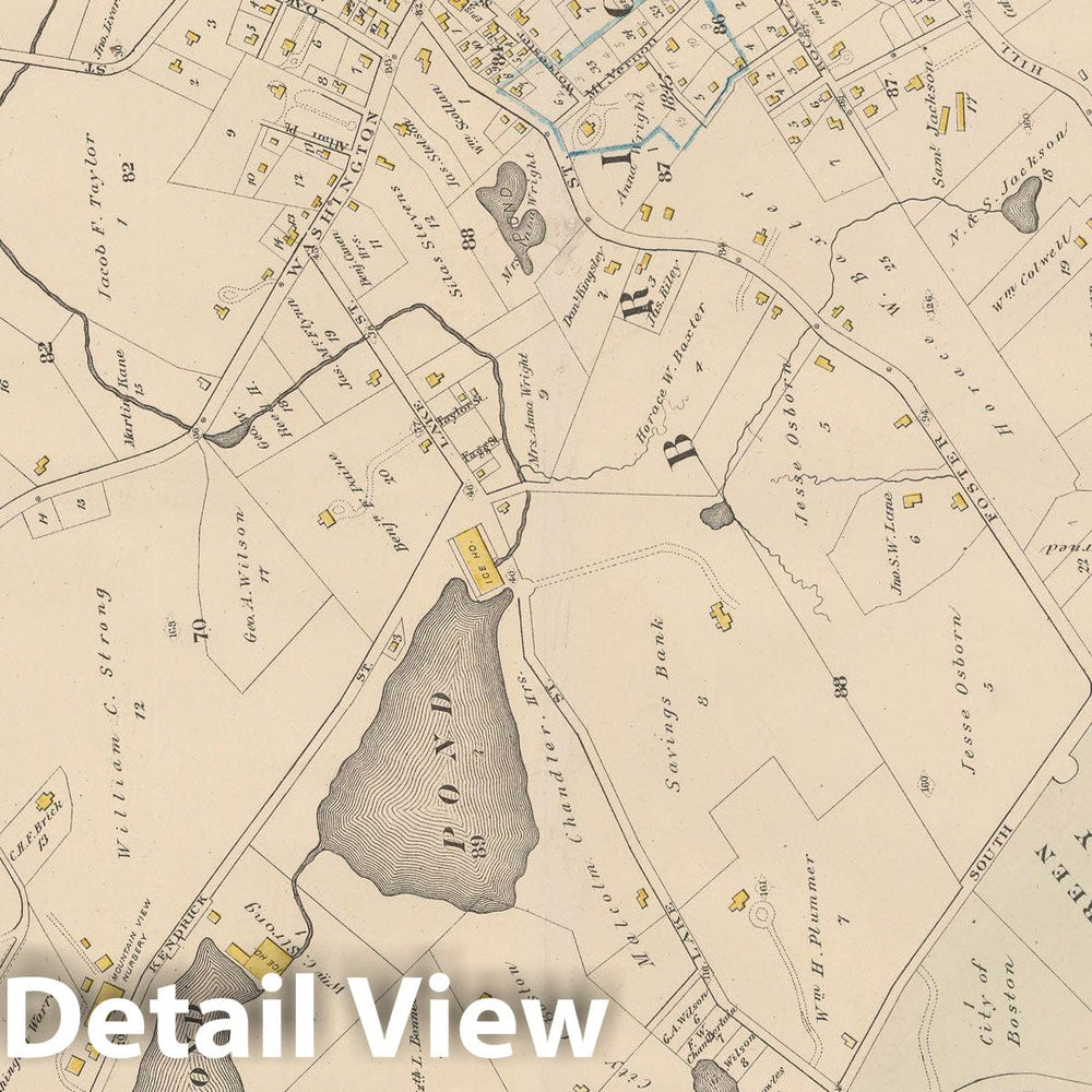 Historic Map : City Atlas of Boston, Massachusetts, Brighton 1882 Plate 036 , Vintage Wall Art