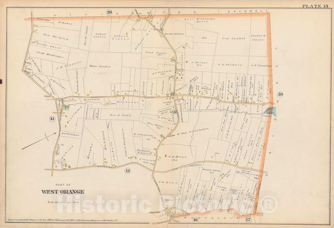 Historic Map : Atlas of Essex County, New Jersey, West Orange 1890 Plate 015 , Vintage Wall Art