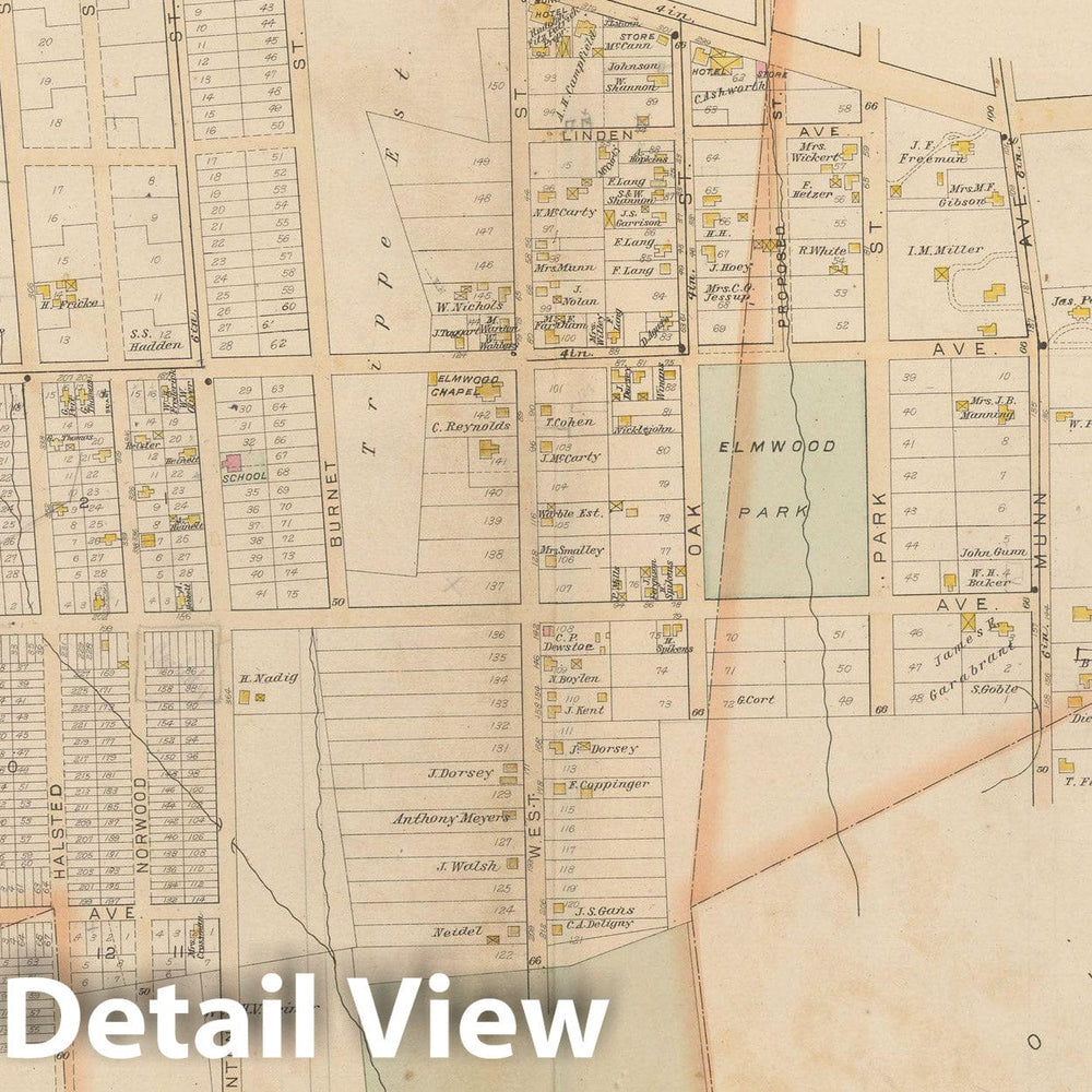 Historic Map : Atlas of Essex County, New Jersey, East Orange 1890 Plate 003 , Vintage Wall Art